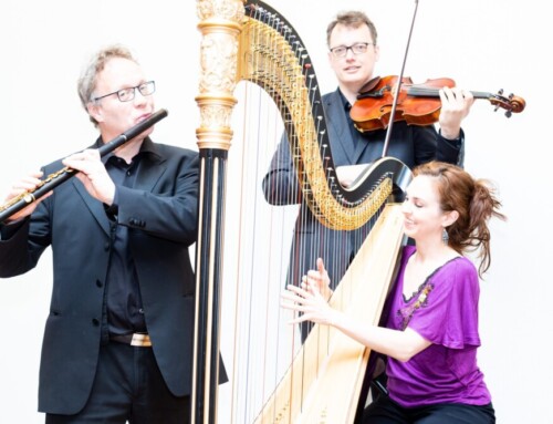 Utrechts Harp Trio met kleurrijke klanken in Randmeerconcert Zeewolde